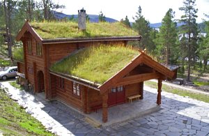  Smukt blokhus beliggende i Savalen. Det ligger på en stor, solrig grund med en lukket udendørs opholdsplads, pejs og grill. Mange aktivitetsmuligheder i området: jagt, lystfiskeri, ski og alpin. B ...