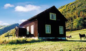  Ældre hus af god standard med en ugenert og fin beliggenhed nær ejers gård med udsigtFint udgangspunkt for fjeldture. 22 km til Galdhøpiggen sommerskicenter. ...