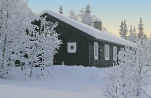  Feriehus af høj standard, lækkert indrettet og møbler af høj kvalitet. Baderum 2 er wellness rum med dobbelt spa og sauna. Madrasser på hemsen. Gode udflugtsmuligheder sommer og vinter, milevis  ...