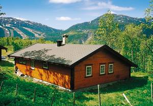 Dette meget attraktive og veludstyrede feriehus ligger i rolige omgivelser. Den storslåede natur i området indbyder til mange slags aktiviteter. Langrendsløjperne starter lige uden for huset. Alpi ...