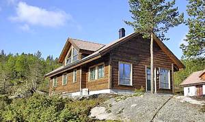  Veludstyret sommerhus af høj standard med udsigt over fjeld og vand. Flot udflugtsområde om sommeren. Bade- og fiskemuligheder i nærheden. N35204: 8 m. ...