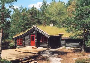  Pænt bjælkehus med en flot pejs af natursten. Det ligger fredeligt i uberørt skovnatur. Fra den store, solrige terrasse har man panoramaudsigt over Tveitavandet. Der er gode fiskemuligheder i fors ...