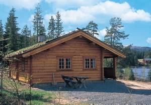  Pænt, veludstyret feriehus med en fin beliggenhed 20 m fra Tveitevatnet. Udsigt over vandet og de bagvedliggende åse. Gode fiskemuligheder og fiskegarn kan lejes. 100 m til badestrand. Tilrettelagt ...