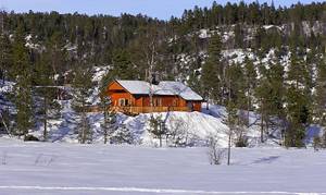  Pænt feriehus i traditionel stil. Det ligger i et flot fjeldområde. Preparerede skiløjper, fiskemuligheder i elve. Ikke langt til gallerier, salg af håndarbejde, glaspusterier mv. ...