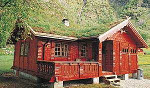  Flot hus i bondestil med græs på taget og træmøbler. Flot lang, hvid sandstrand. Nær aktiviteter i Rauland og Rjukan. ...
