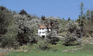 Ældre Sørlandshus i to etager, hyggelig indretning. Bade-/fiskemuligheder i Lenefjorden. Barneseng kan skaffes. Loftshøjde på første etage: 1,75 m. ...