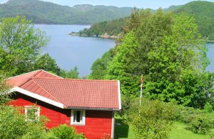  Hyggeligt feriehus i ugenert feriehusområde med panoramaudsigt over Grønsfjorden, som ligger i et par minutters gåafstand. Her kan I se solnedgangen. Godt fiskeri og mulighed for elgsafari. Tag p ...