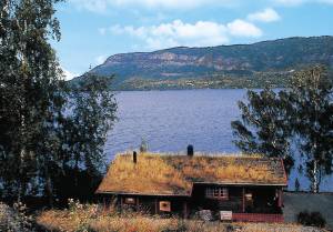  Hyggeligt indrettet bjælkehus med en flot beliggenhed på vestsiden af Holsfjorden, en afstikker af Tyrifjorden. Udsigt over fjorden. Cykeludlejning. Udmærket udgangspunkt for dagudflugter til Oslo ...