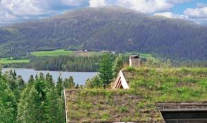 Flot træhus i idylliske omgivelser. 40 m fra Hostonvannet med godt ørredfiskeri. Nær lakseelven Orkla. 6 km til ridecenter. Smuk natur med gode turmuligheder. Ekstra båd. ...