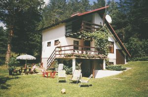  Hyggeligt to-etagers feriehus af træ og sten. Pejsen i opholdsstuen skaber en hyggelig atmosfære på kølige dage. Fra den lukkede naturgrund er der udsigt til den nærliggende sø og skoven. Huset ...