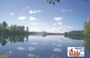 I det dejlige, sørige grænseland mellem Småland og Halland, ligger disse 4 renoverede huse med søudsigt på naturgrunde, omgivet af storskoven i Alvhage Vildmark, hvis produkter er mærket med Na ...