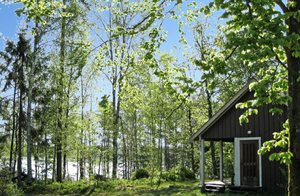Afsidesliggende drømmehus på en søgrund med egen bro. Stedet er perfekt for naturelskere, som søger fred og ro. Bade- og fiskemuligheder i flere søer. Cykeludlejning. ...