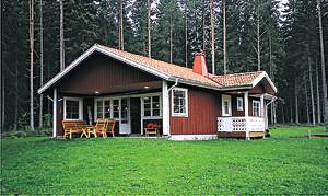 Nybygget hus med udsigt over søen Flåren. Stort alrum og overdækket terrasse. Gode fiske- og bademlg. Ædelfisk 3 km. ...