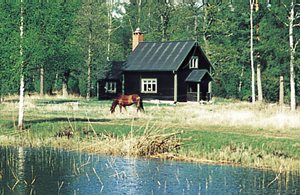 Afsidesliggende hus, kun 25 m fra Hjälmarens strand. Noget stejl trappe til hemsen. Arboga 15 km. Jernholdigt drikkevand, 200 m. ...