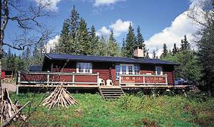  Hyggelig gammeldags træhus med tagbjælker, stengulve og brede gulvbrædder. Hyggelig atmosfære. Vandremuligheder. Træfyret sauna. ...