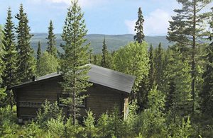  Bjælkehus i fjeldområde med stor sydvest-vendt terrasse. Udsigt over bjergene. Fritstående sauna og badetønde. Muligt at ro, fjeldvandre og fiske. ...