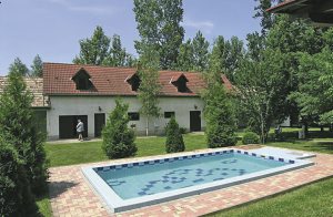  Flot ejendom beliggende ved en skov. På den store naturgrund ligger en stor udendørs pool, der er dejlig forfriskende. Derudover er der meget plads til rekreation og fester. Stedet består af to, p ...