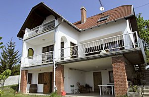  Dette feriehus ligger i et rekreativt område og byder på en panoramaudsigt over Donau-knæet. Til huset hører en stor terrasse med havemøbler. En barneseng kan bestilles. ...