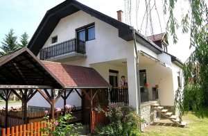  Ved bunden af de østlige alper, midt i det solfyldte Østungarn, ligger denne lille feriebolig med tilhørende udendørs swimmingpool. Den moderne og familiære atmosfære garanterer et dejligt og a ...