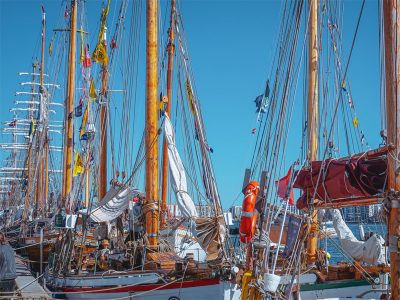 Tall Ships Races i Aalborg - 1185