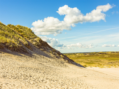 Klitlandskab ved Skagen - 1226