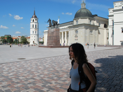 Pladsen ved Vilnius Katedral - 1461