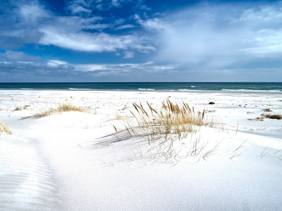 Kridhvidt sand på Dueodde strand - 1588