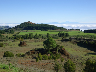 Naturlandskab på El Hierro - 1770