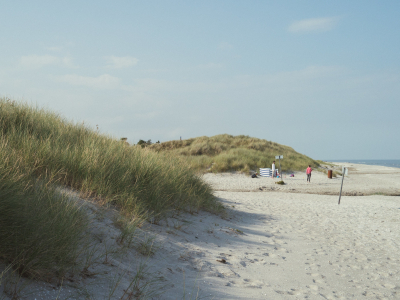 Lyngså Strand en sommerdag. - 1826