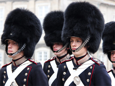 Gardere ved kongeslottet Amalienborg - 272