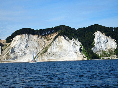 Møns Klint er 7 kilometer lang og op til 128 meter høj.  - 396