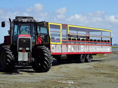 Rønnerbussen på Læsø - 553