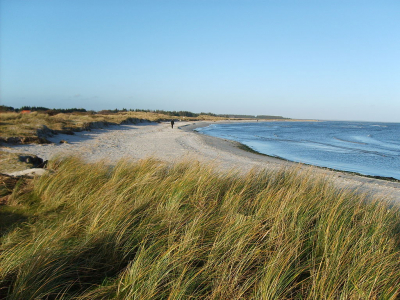 Hous nordlige strand - 597